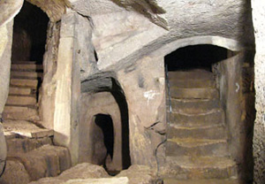 Keller Wildmeisterei